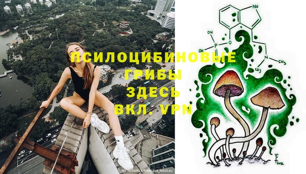 дживик Абаза