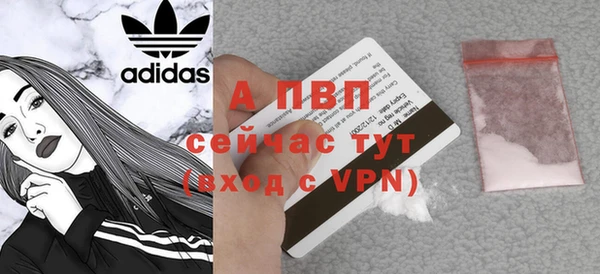 дживик Абаза