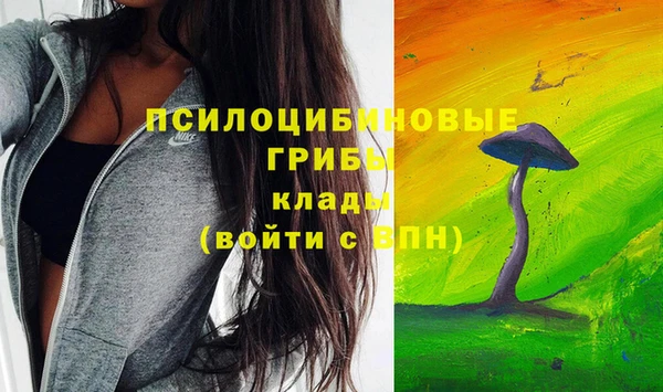 таблы Алзамай